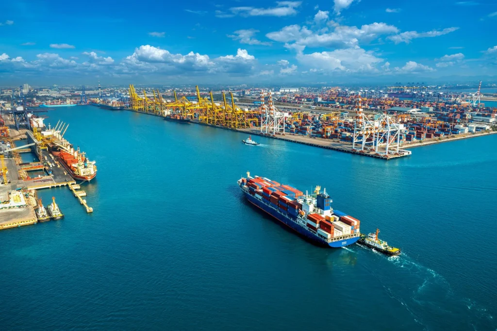 Connecting Continents: 7 Heaven Trading Export Journey